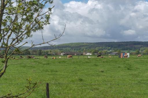 Séjour chez l'habitant Monteur - Privat Geich *